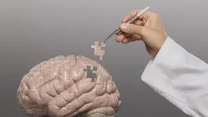 آزمون تستی روانشناسی فیزیولوژیک/ تعریف شاخه فیزیولوژیک رشته روانشناسی