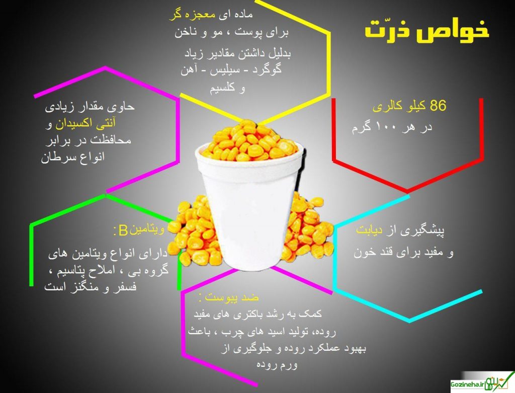 اینوگرافی + خواص جادویی ذرت مکزیکی