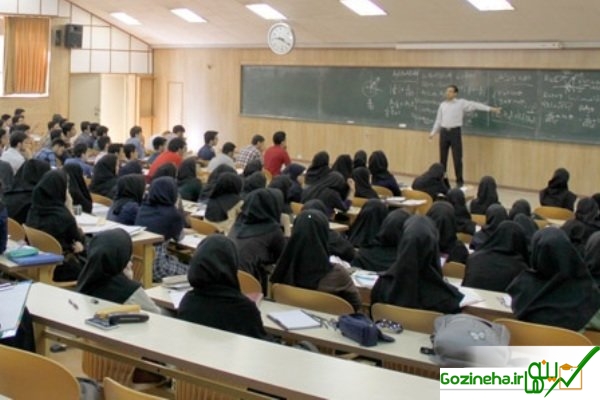 برگزاری دوره‌های پسادکتری خاص پژوهشگران ، تشکیل گرنت هم‌افزایی بین استادان دانشگاه‌ها