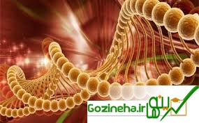 ایران چهارمین کشور سرطانی در دنیا است