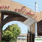 انتقاد سرپرست دانشگاه فرهنگیان از شیوه آموزشی کلاس های درس کشور