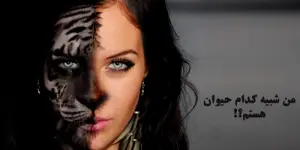 cate_closeup750