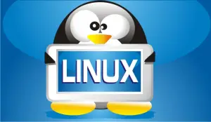 linux1