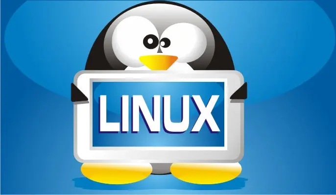 linux1