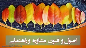 آزمون اصول و فنون راهنمایی و مشاوره خانواده (4)