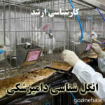 آزمون آنلاین انگل شناسی دامپزشکی