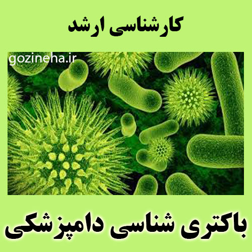 آزمون آنلاین باکتری شناسی دامپزشکی