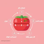 تکنیک پومودورو