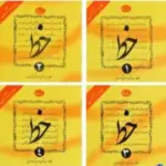 کتاب خط ۴ جلدی مرتضی موسوی گرمارودی (PDF آموزش خوشنویسی)