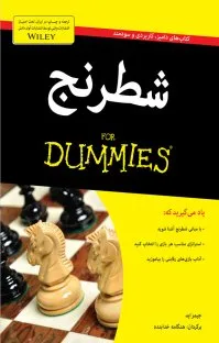 جلد فایل کتاب دامیز شطرنج جیمز اید (PDF ترجمه هنگامه خدابنده)