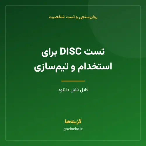 جلد فایل تست DISC برای استخدام و تیم‌سازی